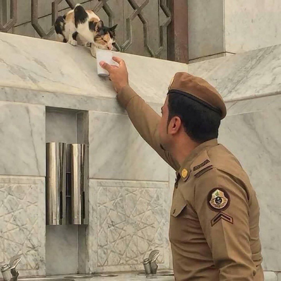 Ayatollah Alireza Arafi tweet media