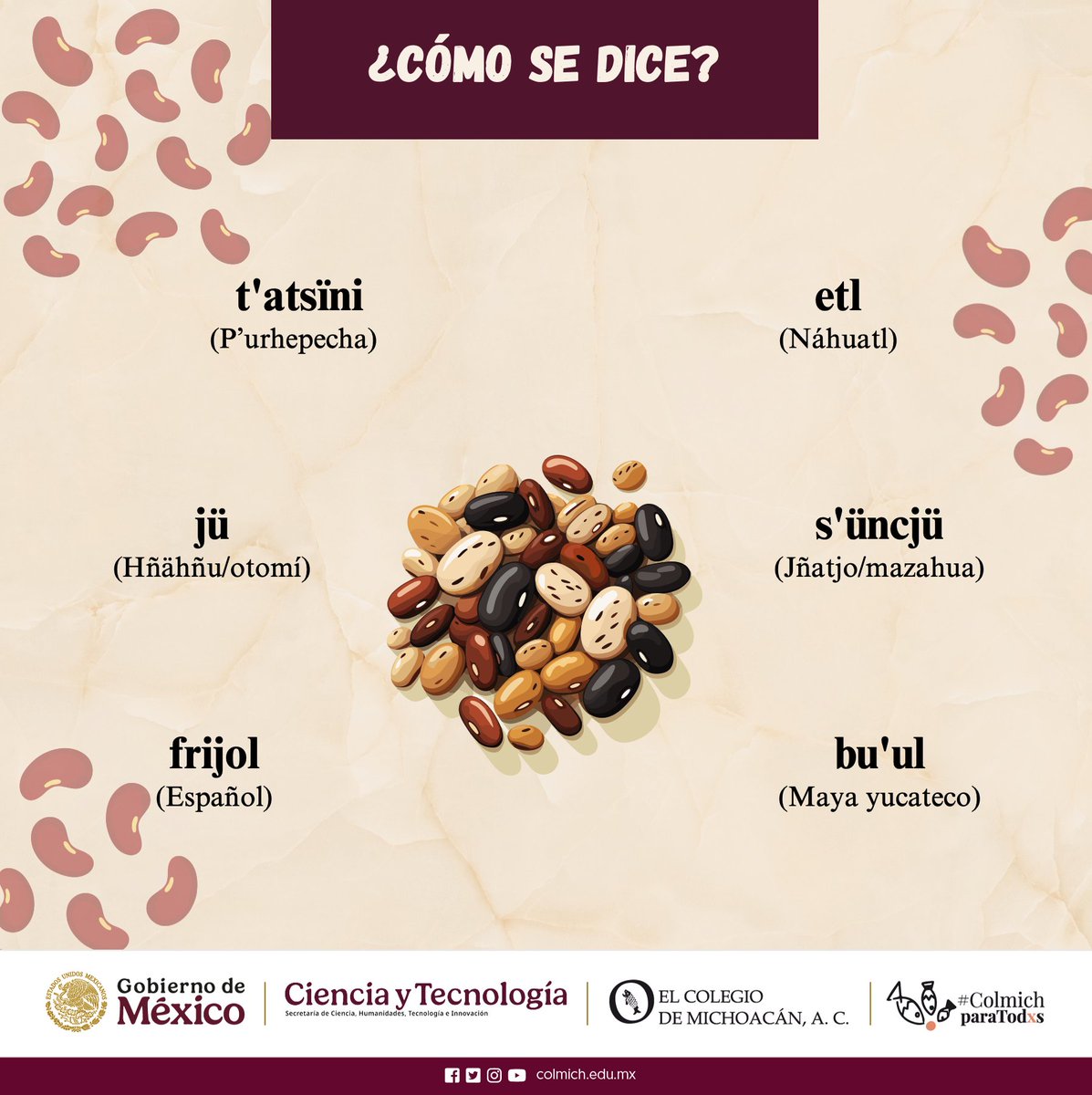 El Colegio de Michoacán tweet media