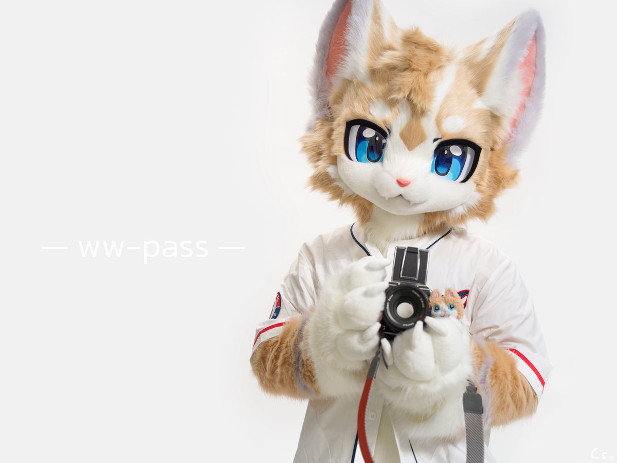 豆浆Soya tweet media