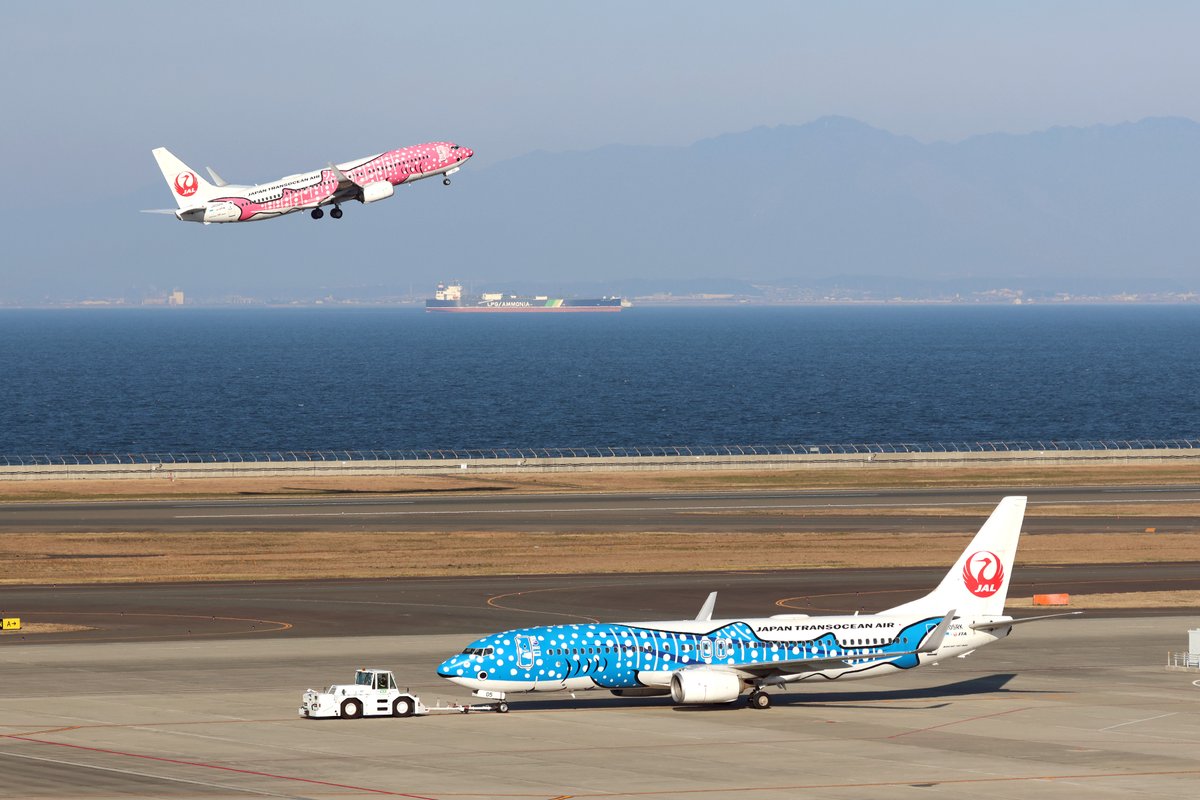 今朝のセントレアにJTAのジンベエジェットが2機揃っていました。青色の