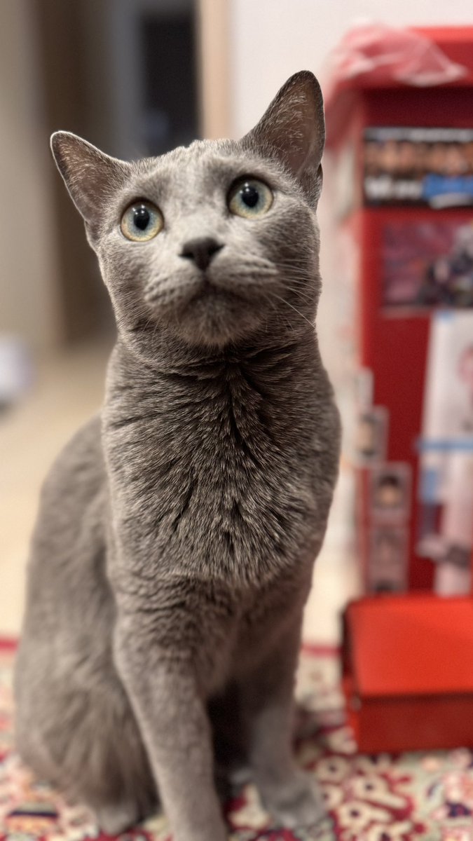 ﾊﾟﾈﾀﾞ tweet media