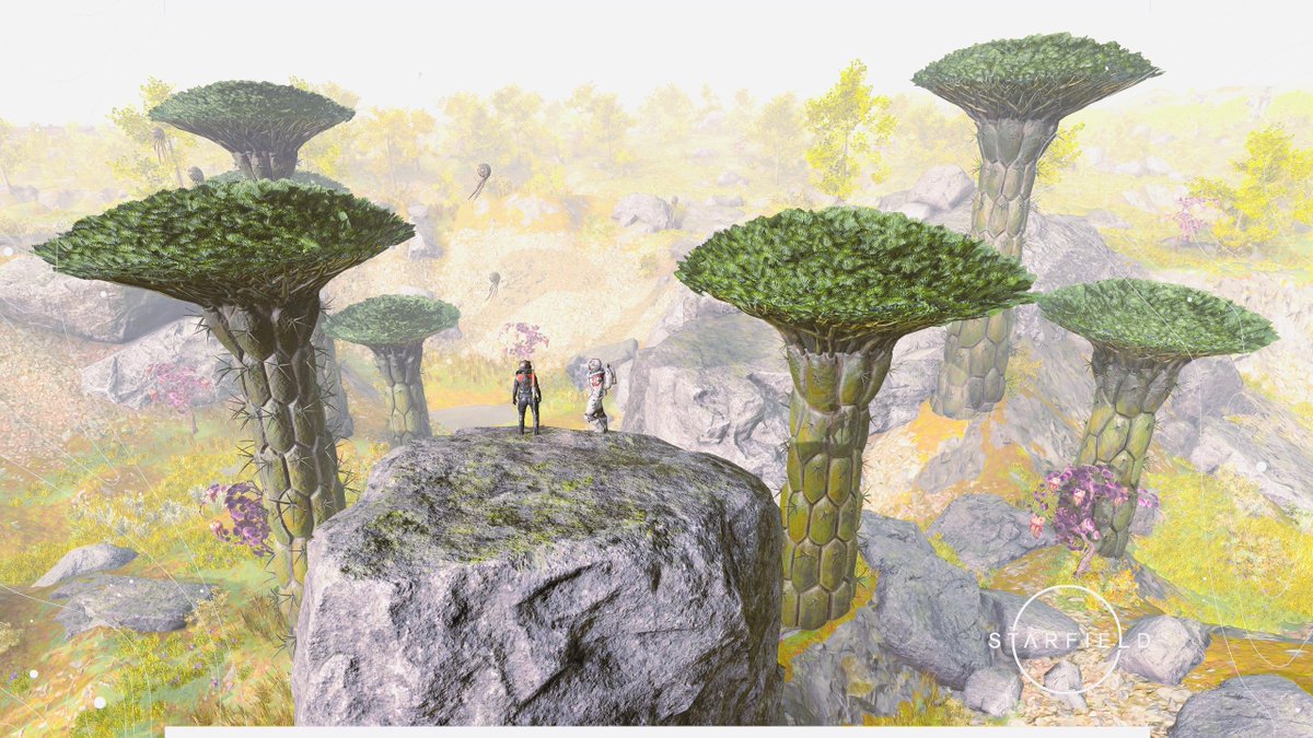 La Presidenta Lilu tweet media