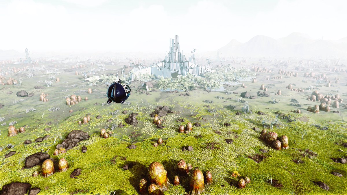 La Presidenta Lilu tweet media