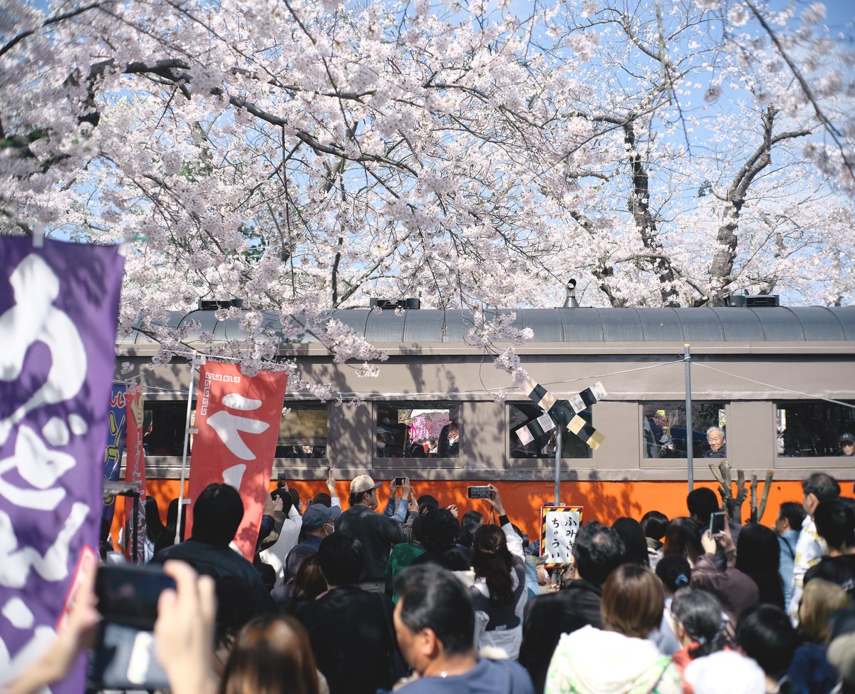 まっしぐら tweet media