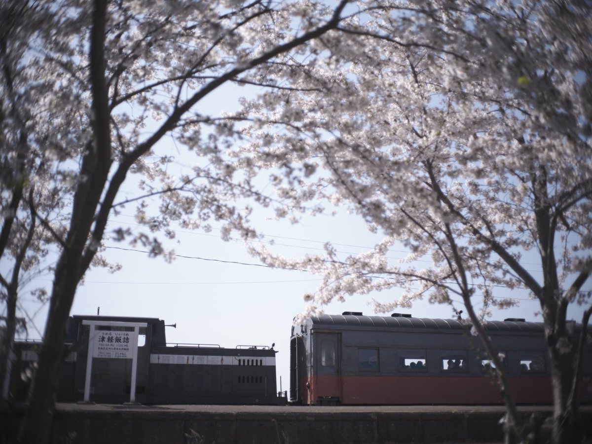 まっしぐら tweet media