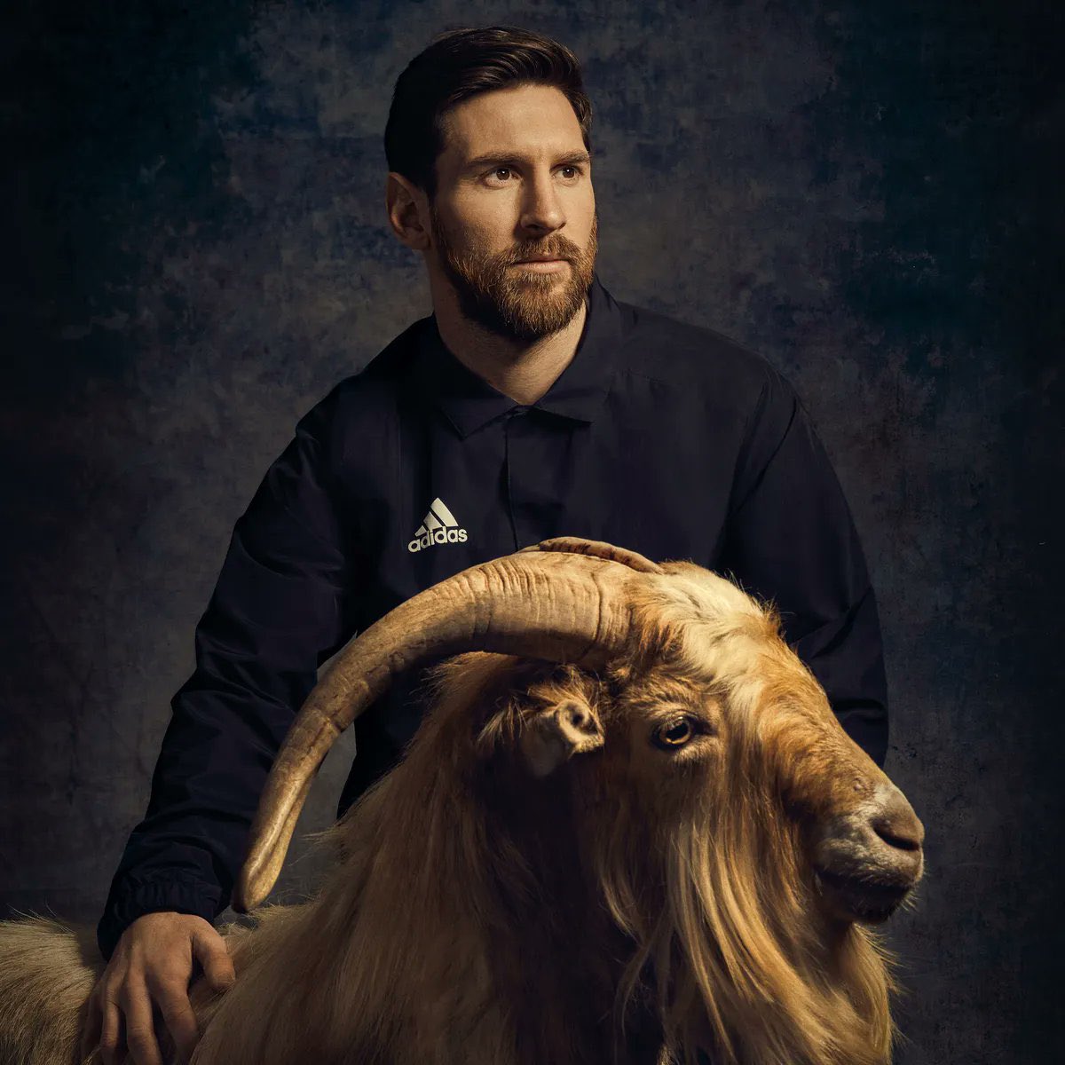 FRENCHRAPUS 🇺🇸 (secondaire) tweet media