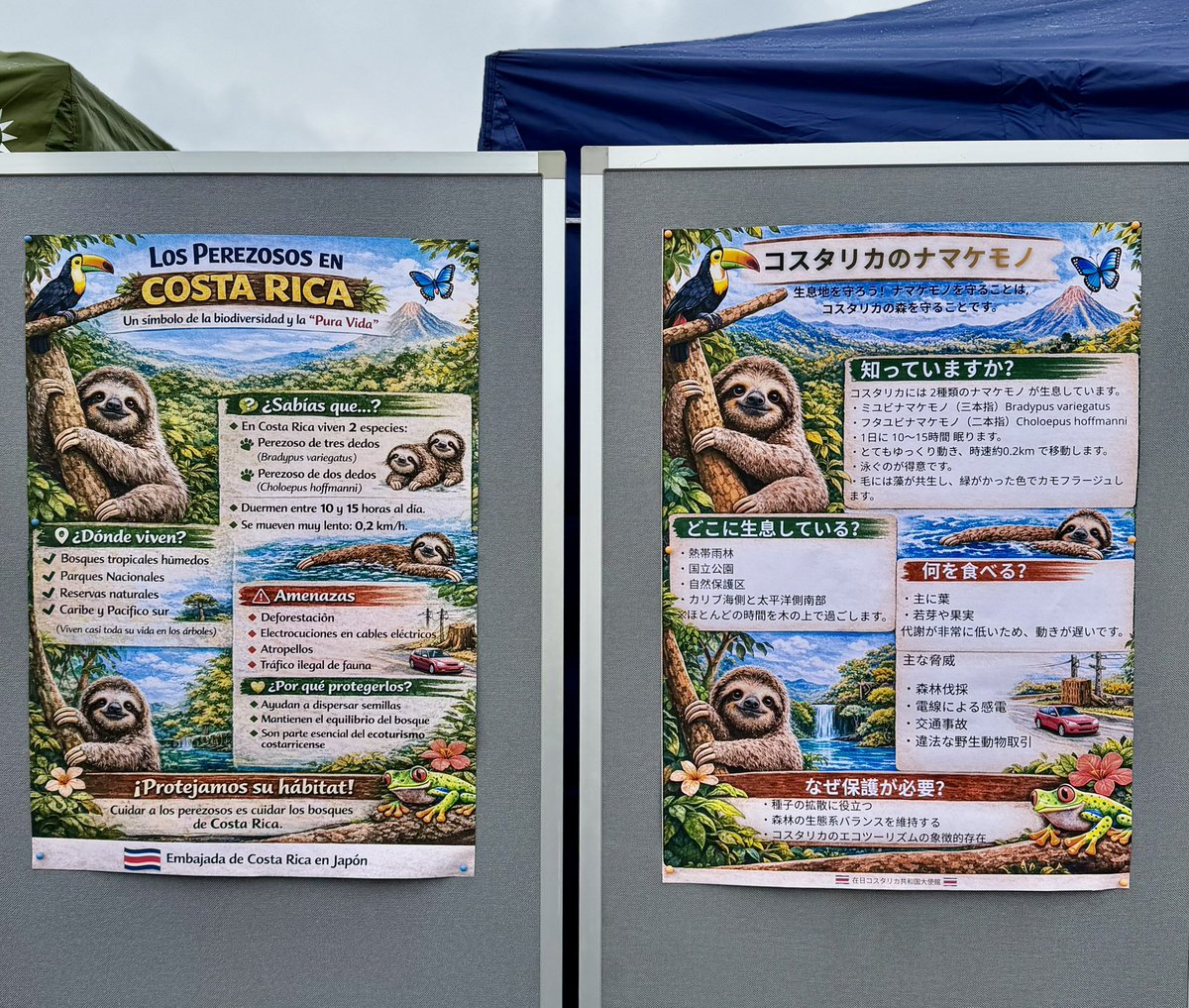 RollSloth ／NannyME／なないろ CEO MeGoアンバサダー／下北沢地域事業 tweet media