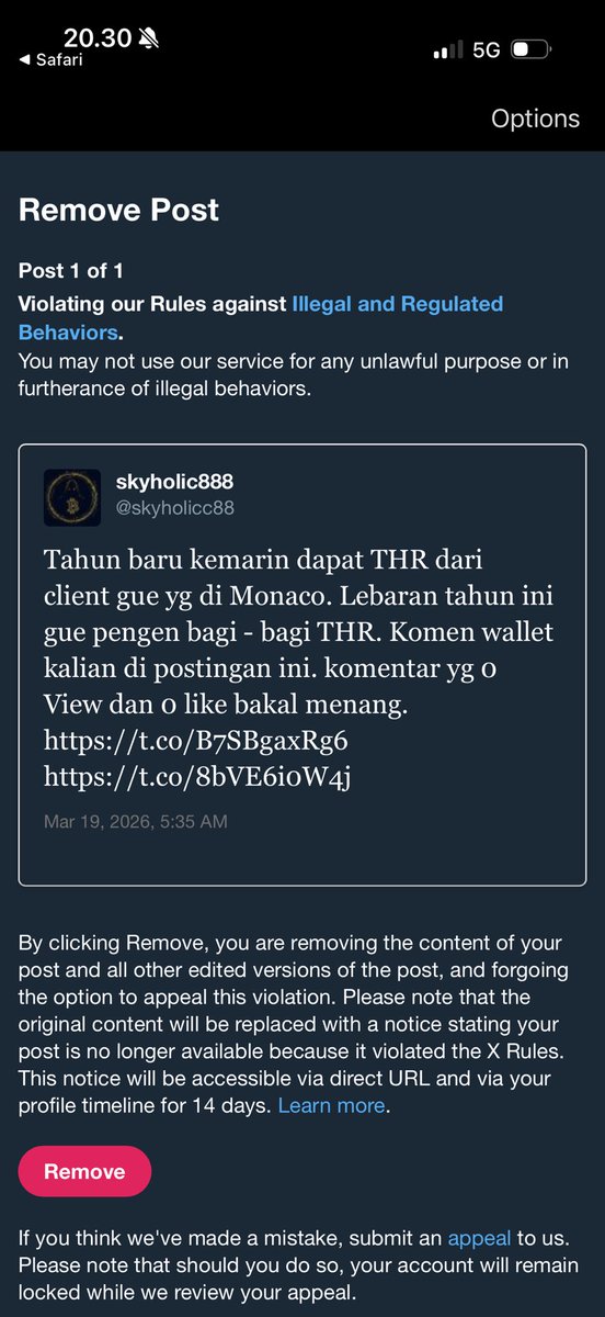 skyholic888 tweet media