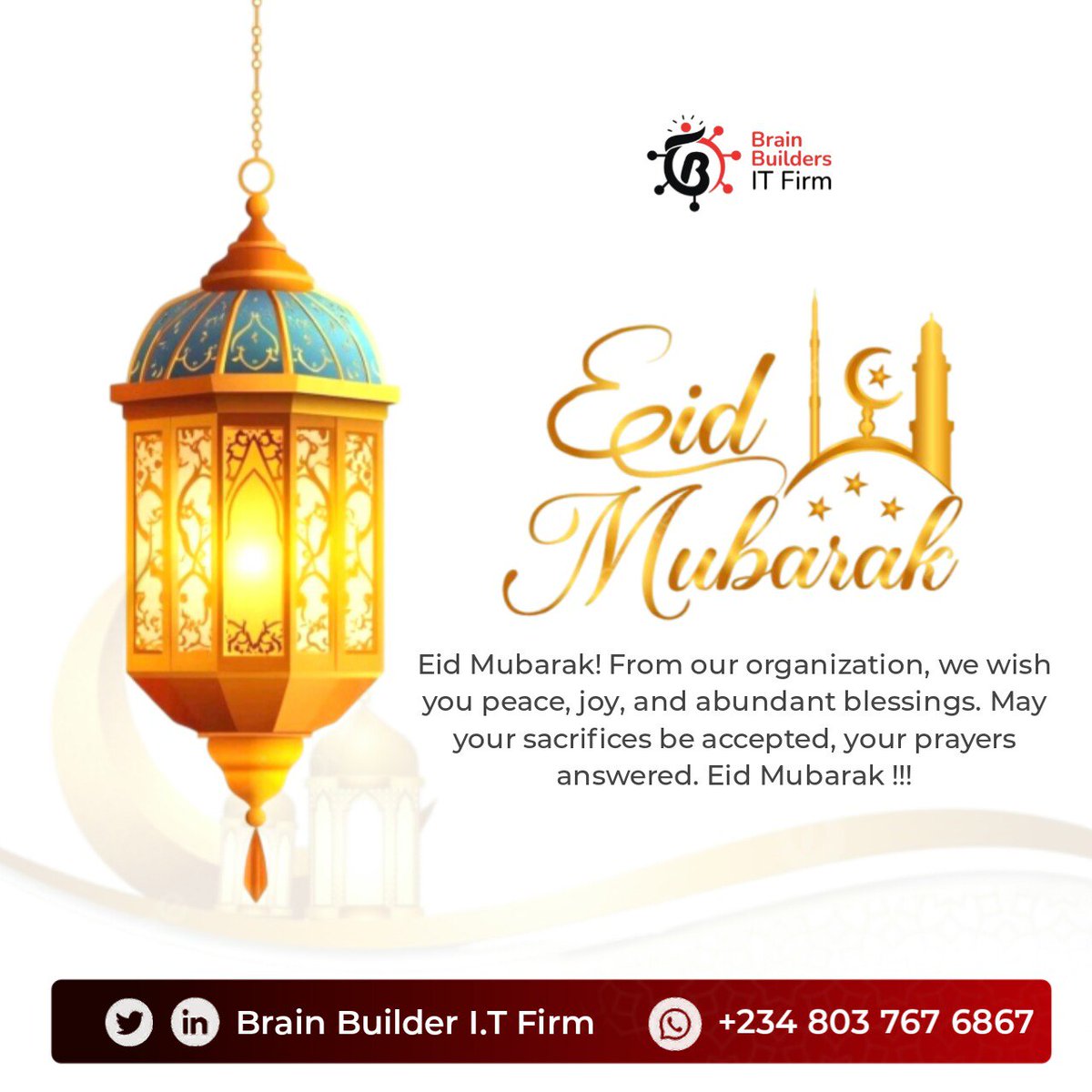 Brain Builders I.T Firm tweet media