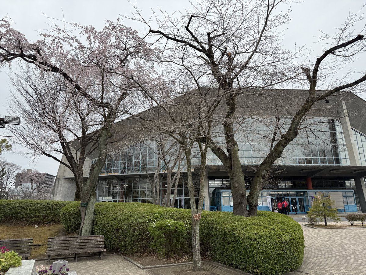 高崎市街地の群馬音楽センターにて開催された金井沢碑建立1300年記念式典・シンポジウムに行きました。平川先生の特別講演が始まります。