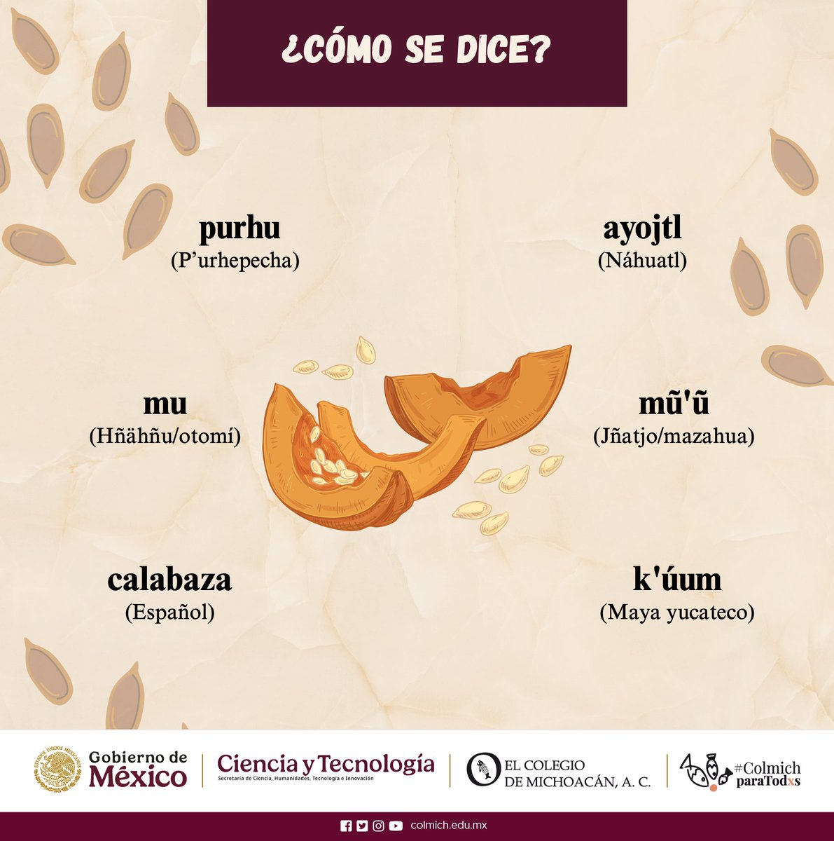 El Colegio de Michoacán tweet media