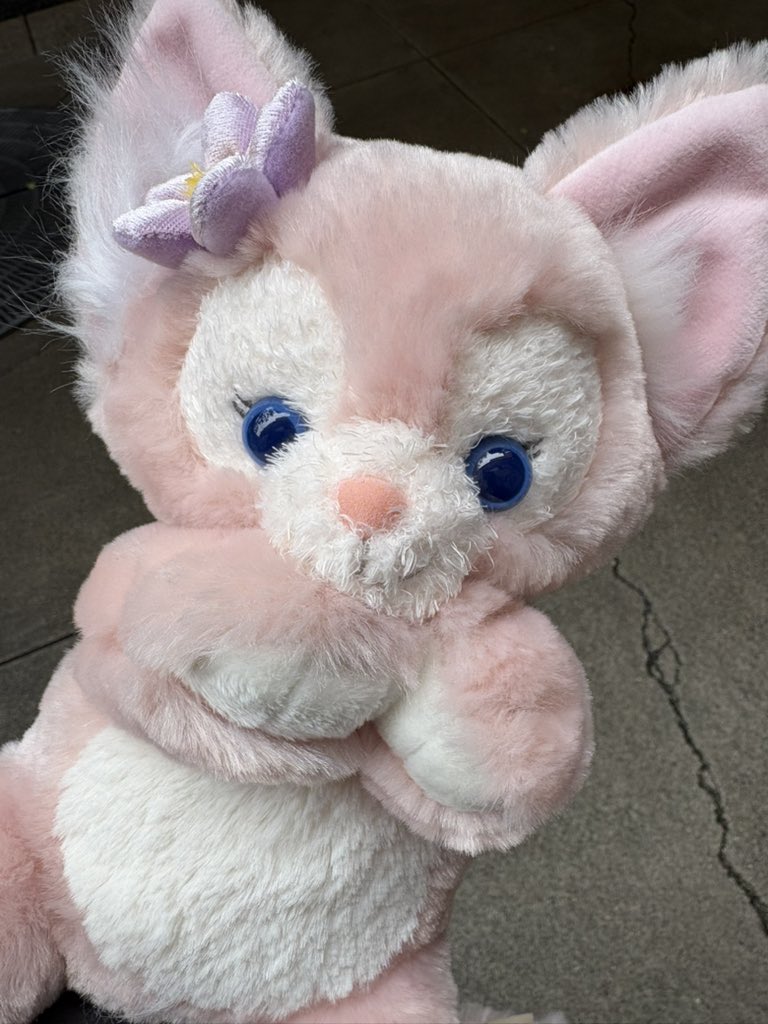 おるたんしあ tweet media