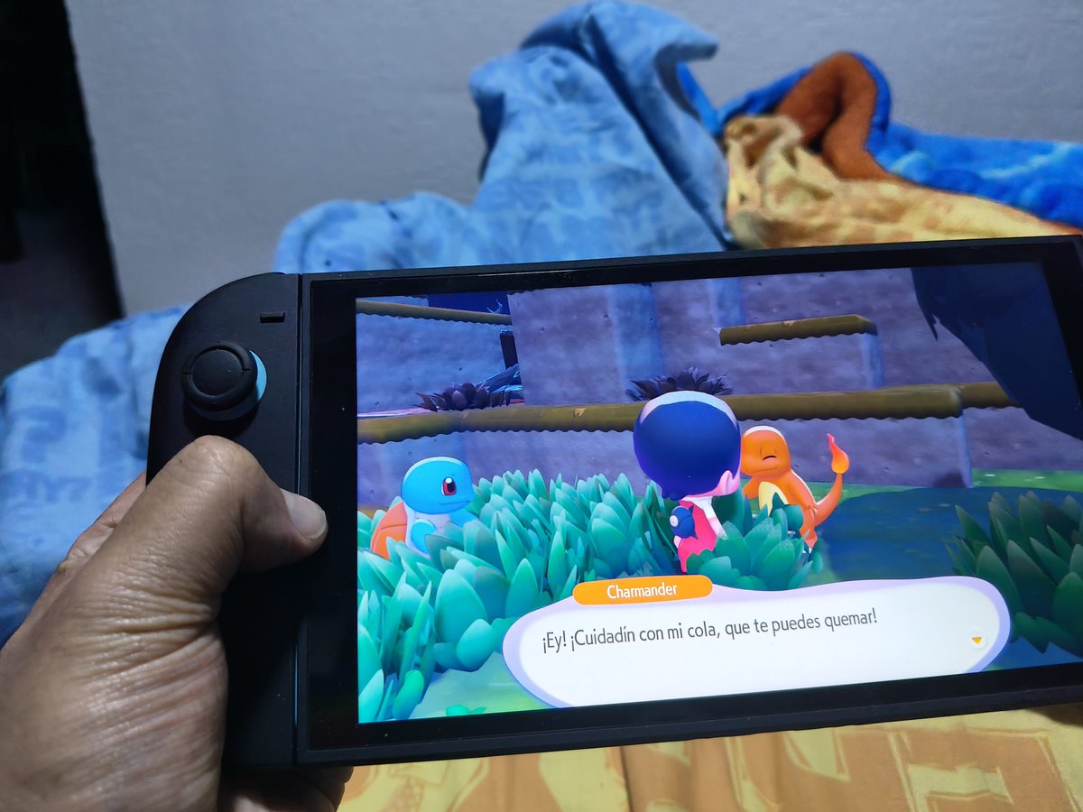 🐣🐥🐤Torchic 🔥🔥🔥 tweet media