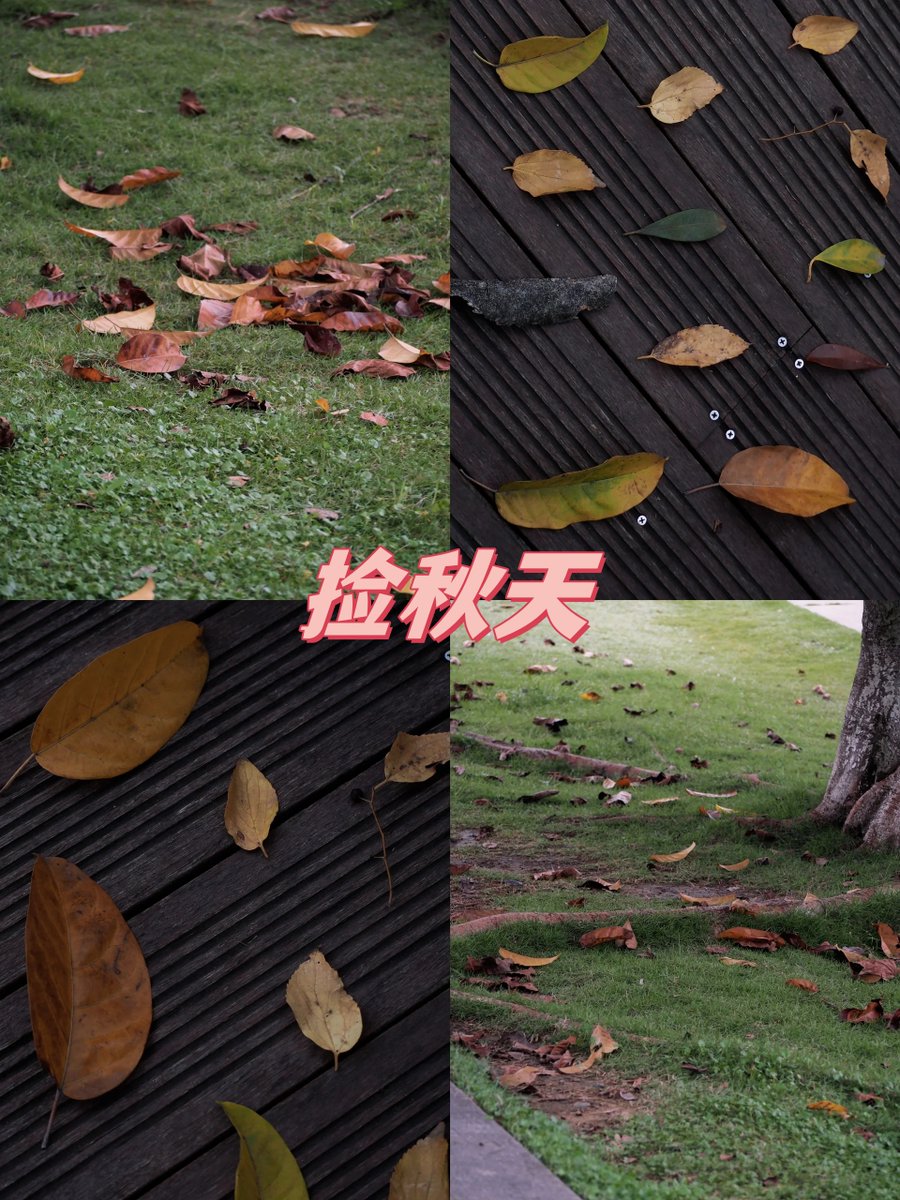 luisana arcorta tweet media