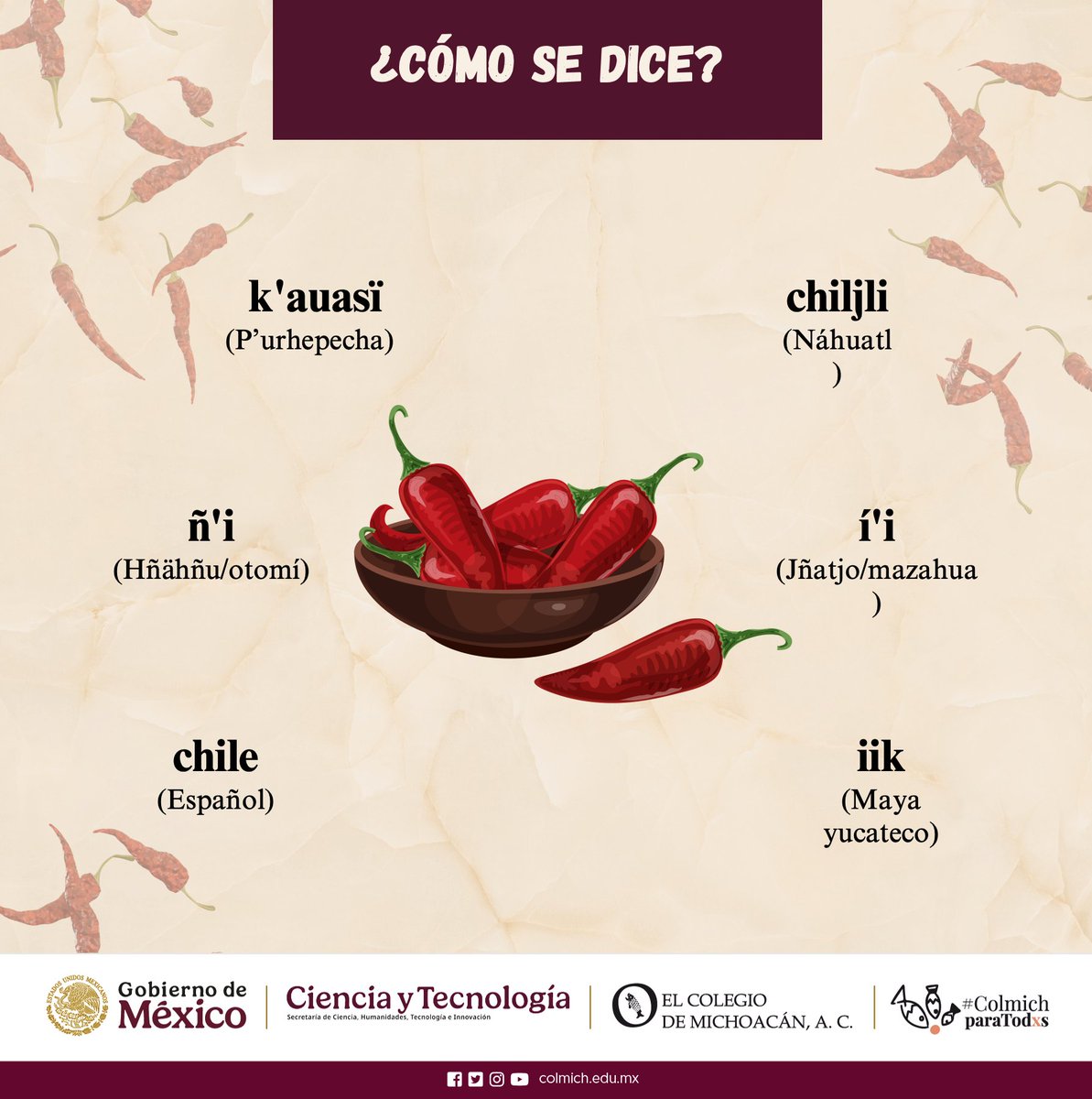 El Colegio de Michoacán tweet media