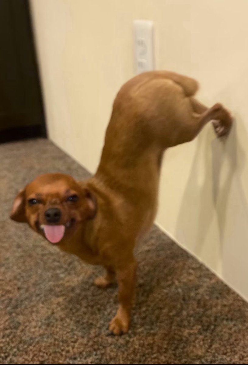 Joy⁷ 🇿🇼💜 tweet media