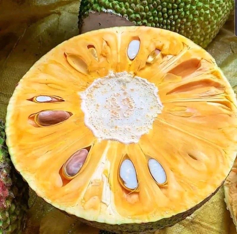 𝗹𝗲𝗴𝗶𝘁_𝐌𝐎𝐑𝐆𝐀𝐍🦚 tweet media