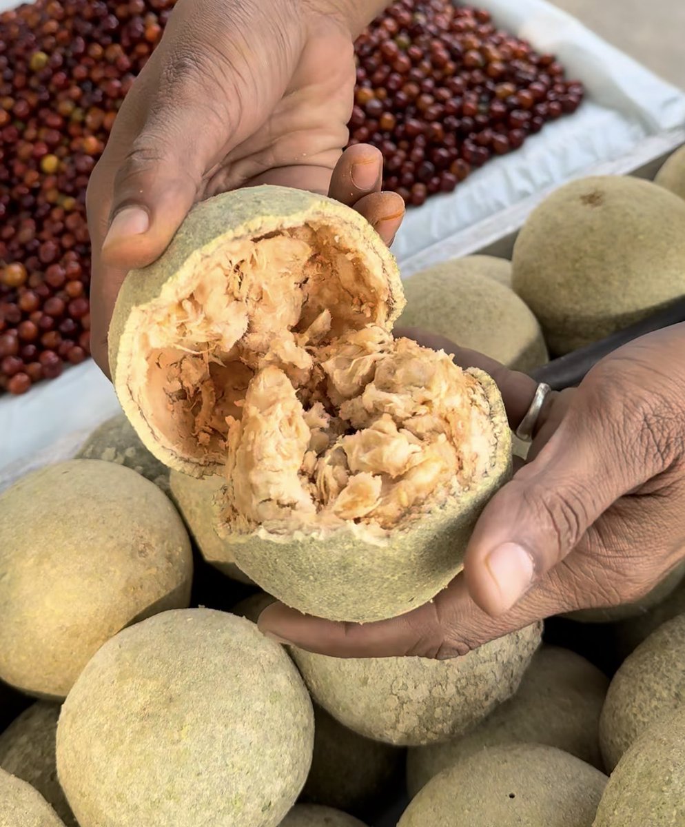 Pranjali tweet media