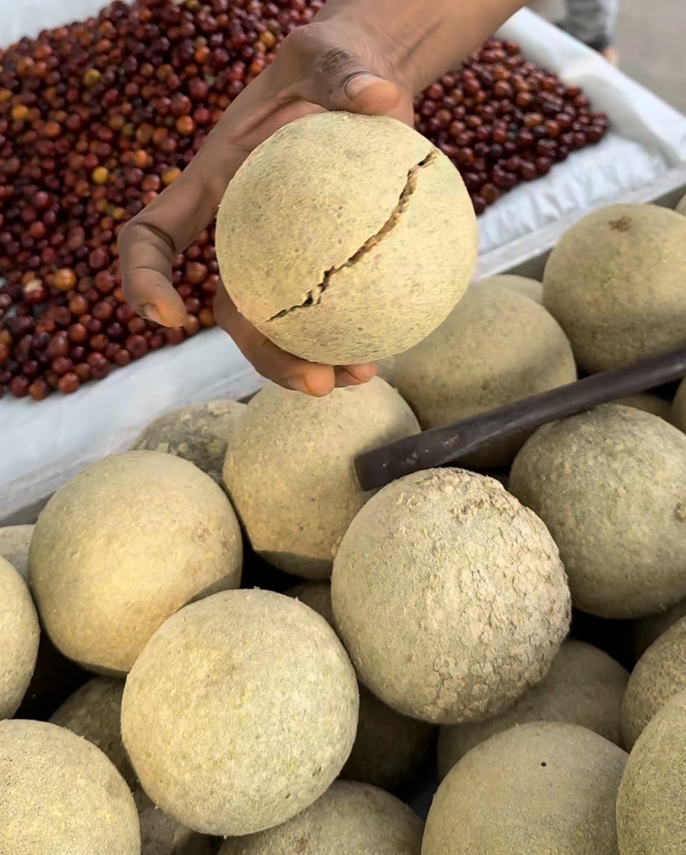 Pranjali tweet media