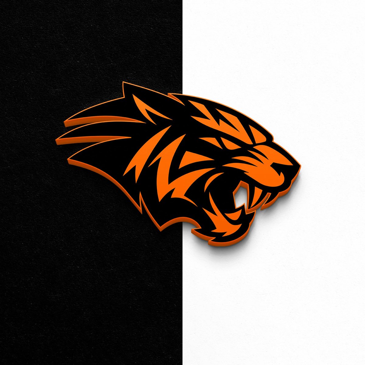 Mavrix Design Studio tweet media