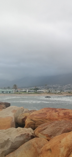 Mufasa007 tweet media