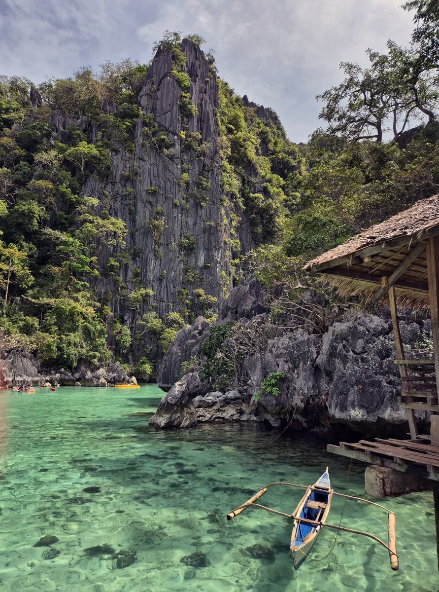 The Nature tweet media