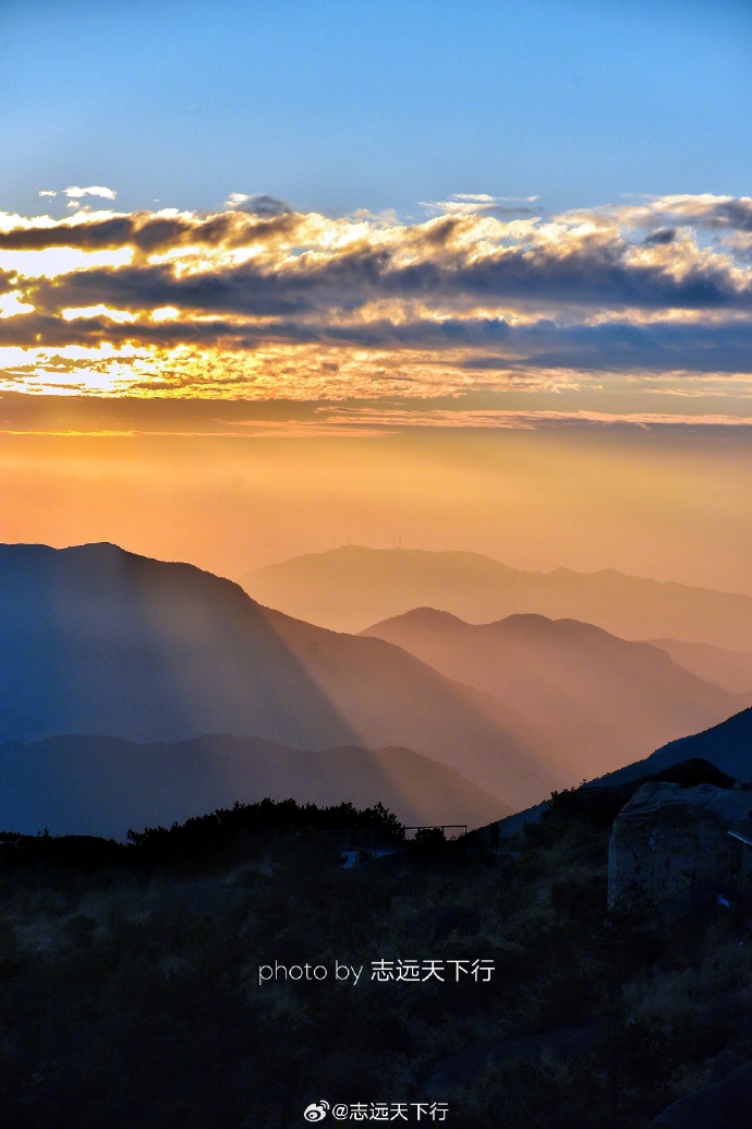 Dina Vendena tweet media