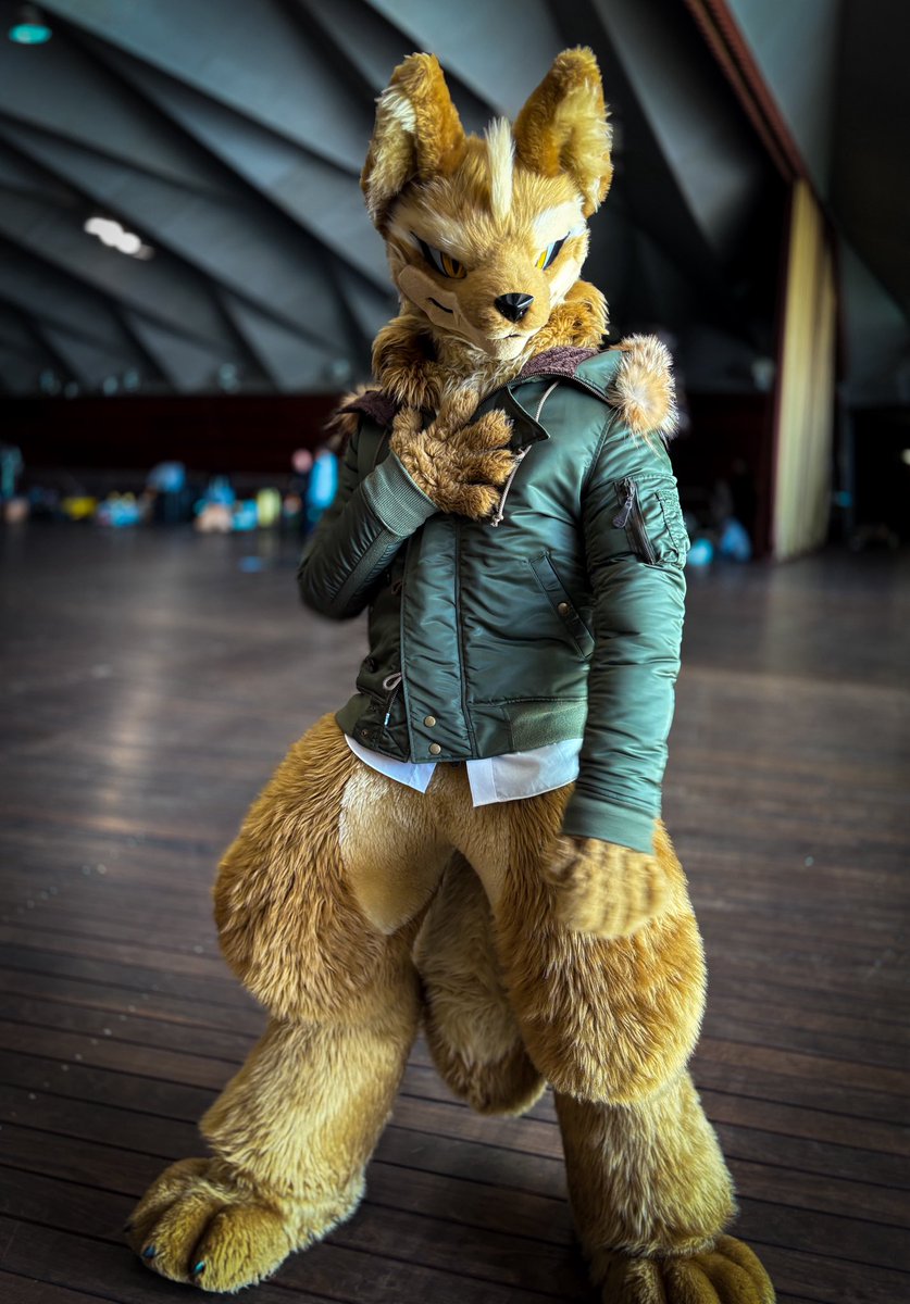 とおぼえ ふうすけ tweet media