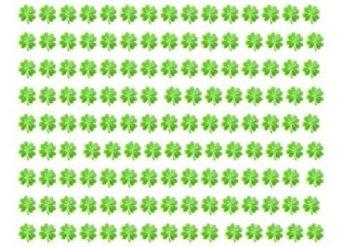 Starseed tweet media