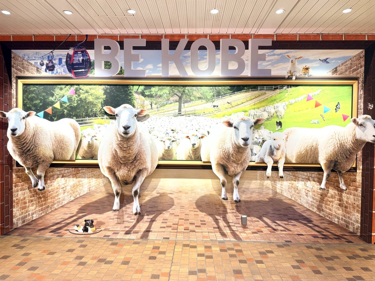 鹿野 淳 tweet media