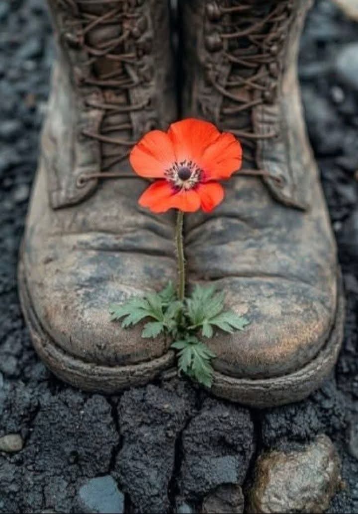 Adea Claude tweet media