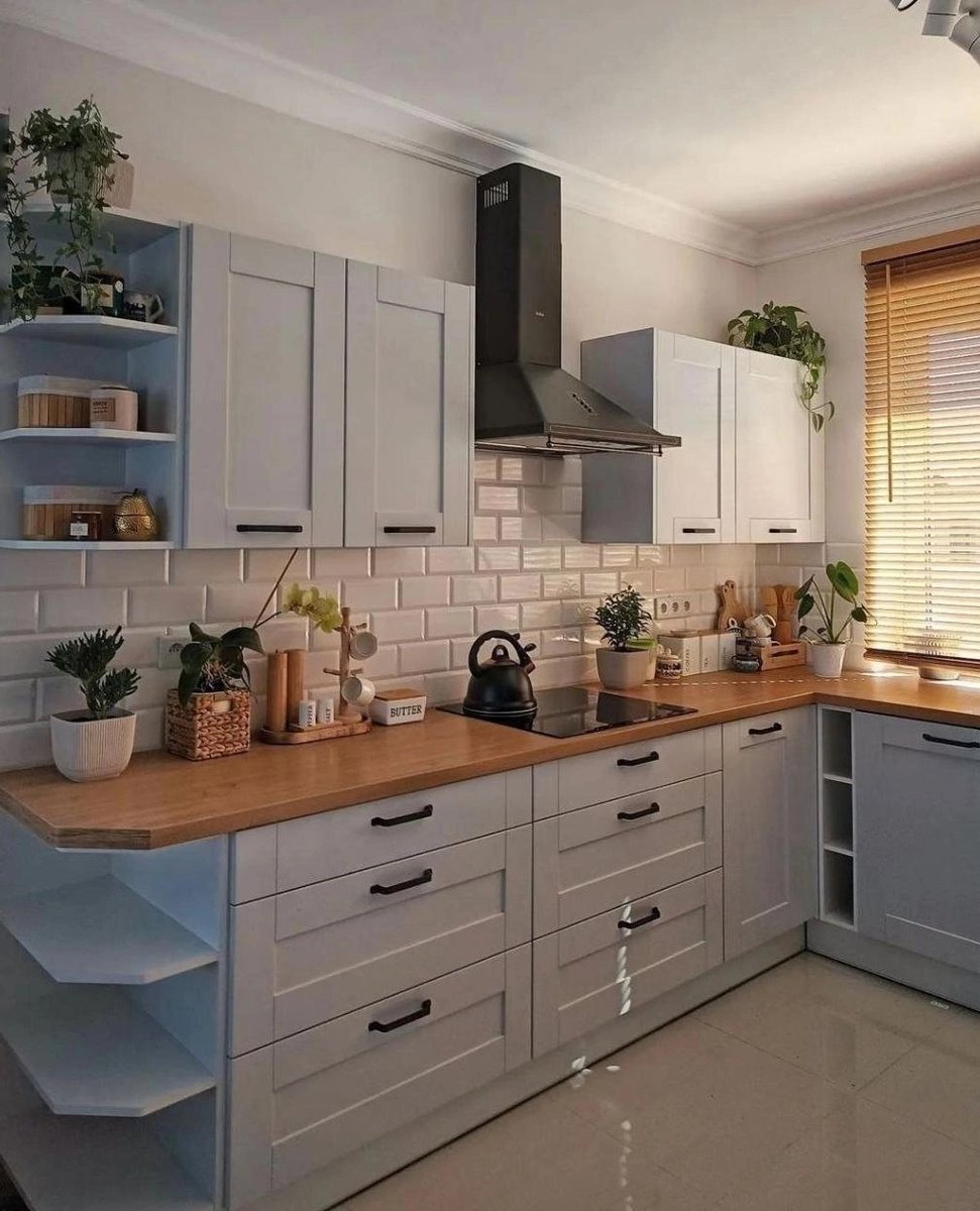 HAILE TEKLE tweet media