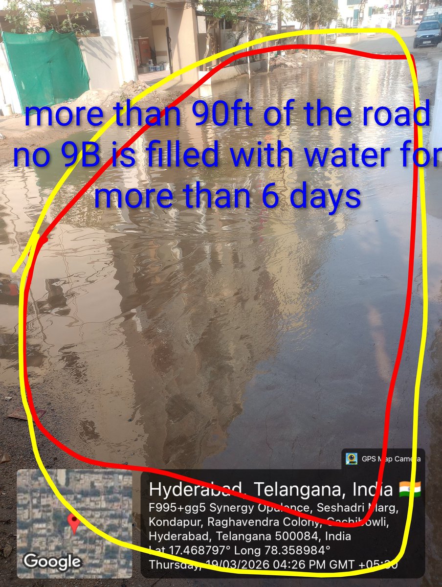 Public Health Analyst tweet media