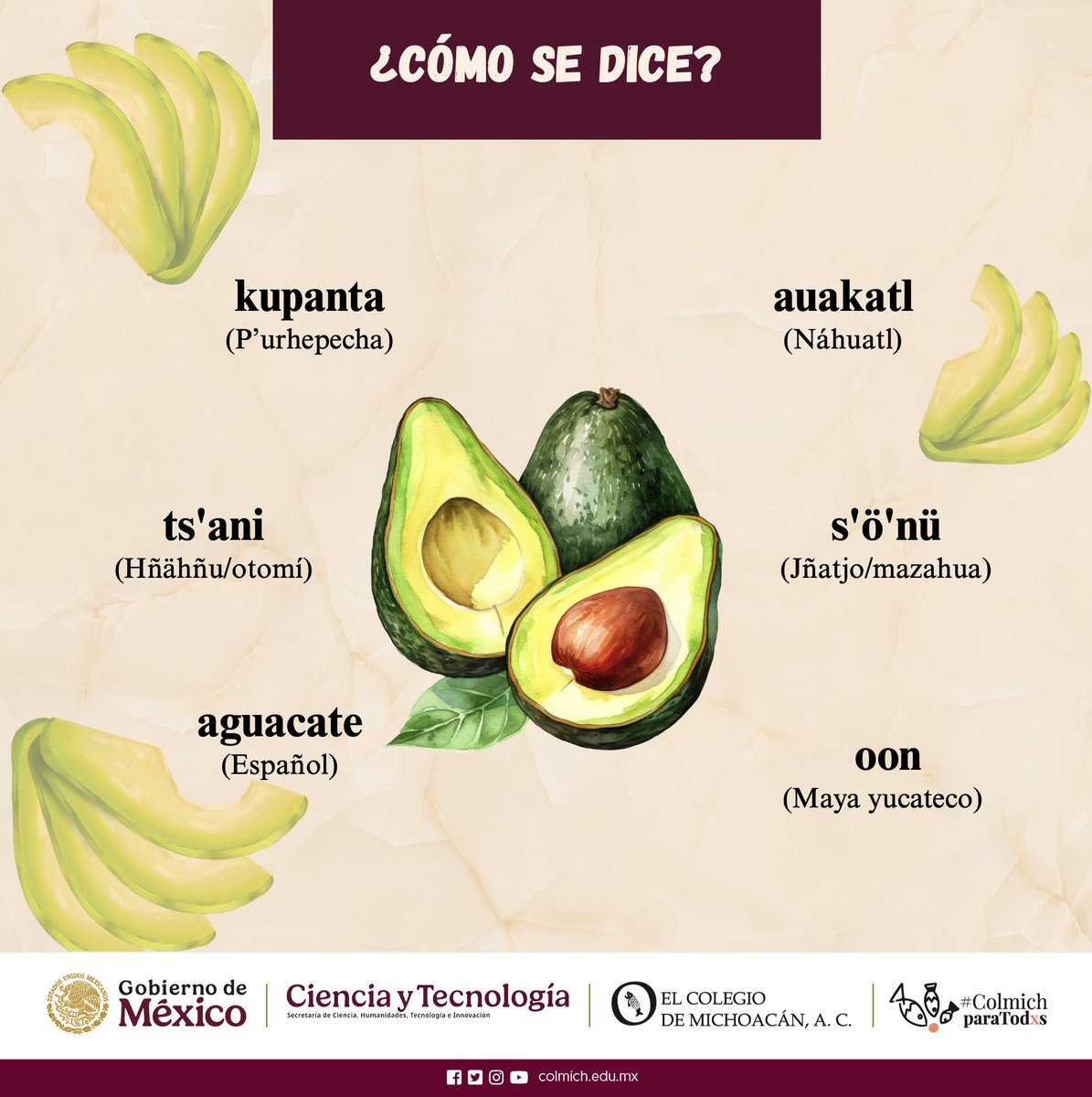 El Colegio de Michoacán tweet media