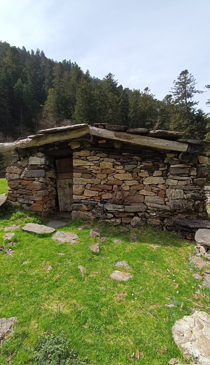 Geai des Chênes tweet media