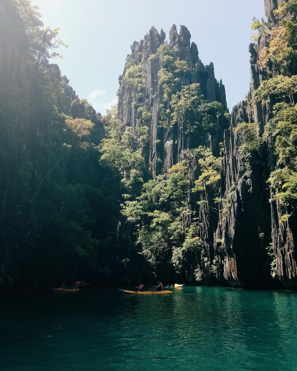 The Nature tweet media