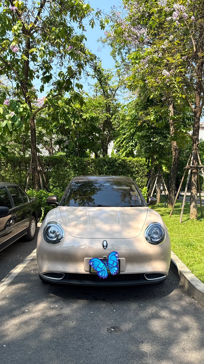 Ran 🌹 tweet media