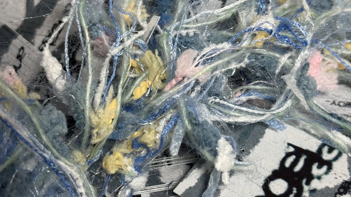 부리!! tweet media