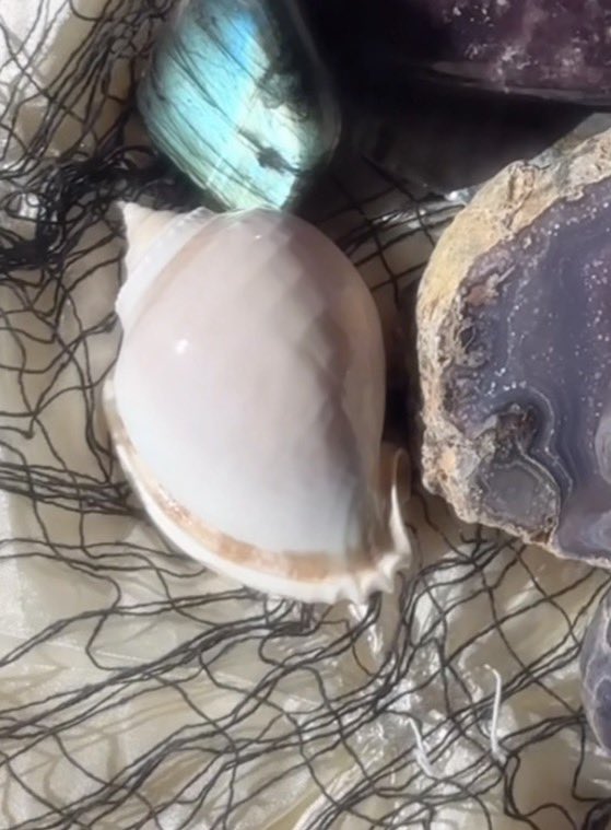 𝐣𝐞𝐬𝐬 tweet media