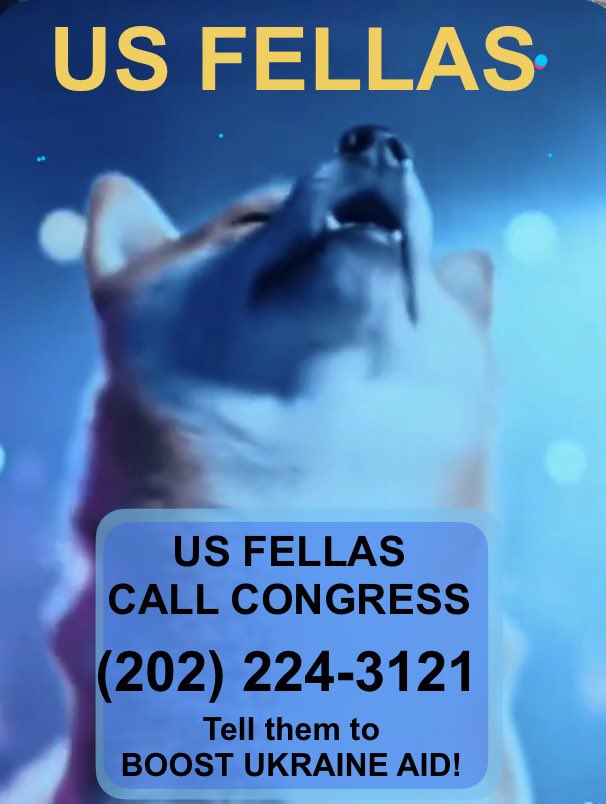 Michelle de los Santos FELLA tweet media