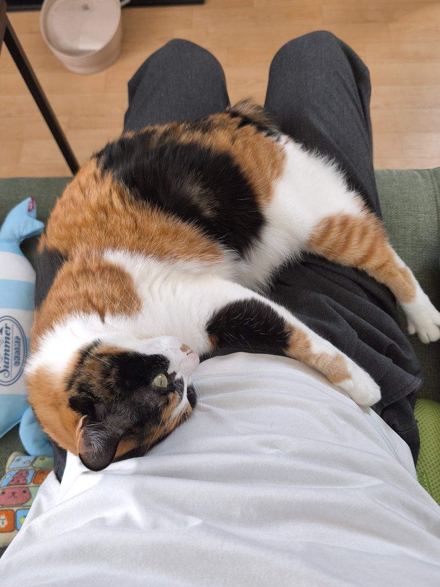 抱っこ寝するの赤ちゃんすぎてかわいい👶