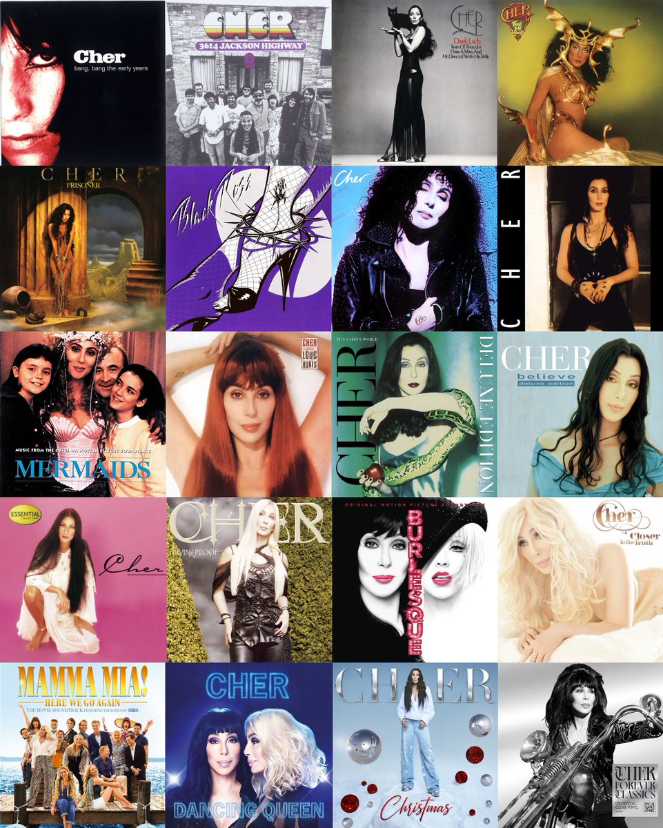 Álbuns essenciais p/ ter o mínimo de conhecimento da discografia da CHER e sua influência na música/cultura pop

* Todos desta lista estão no Spotify
** 3 são compilações:

- Bang Bang: The Early Years #60s
- Essential Collection #70s &amp; início dos anos #80s 
- Forever (geral)