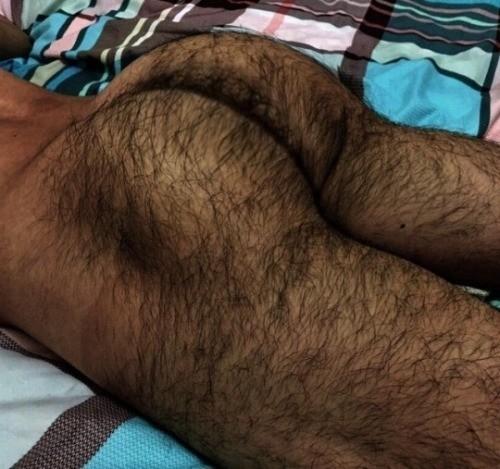 Bi-Logical tweet media