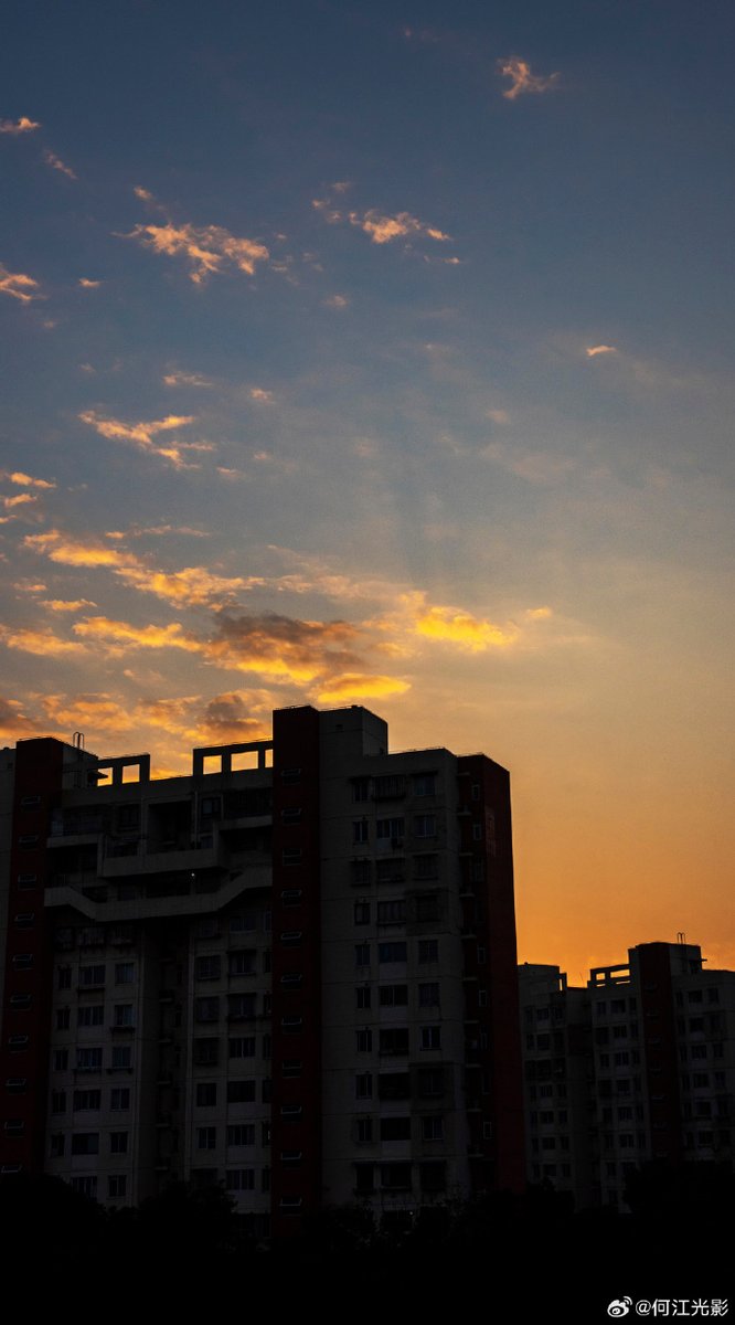 SusanHilg tweet media