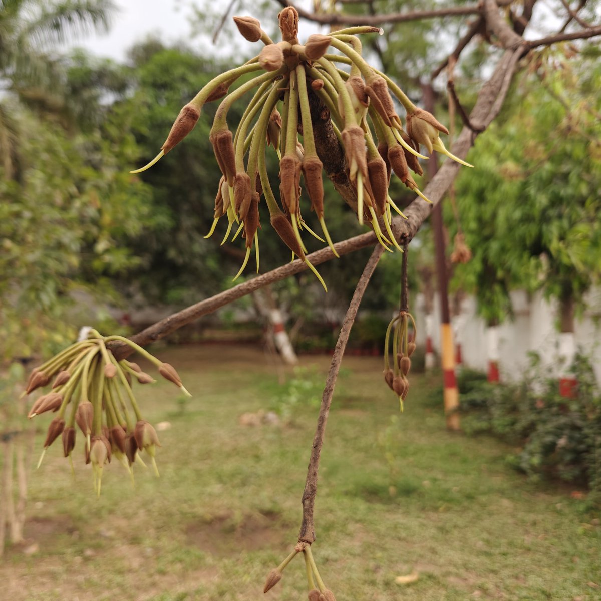 Abdaal Akhtar | ଅବ୍ଦାଲ୍ ଅଖ୍.ତର୍ tweet media