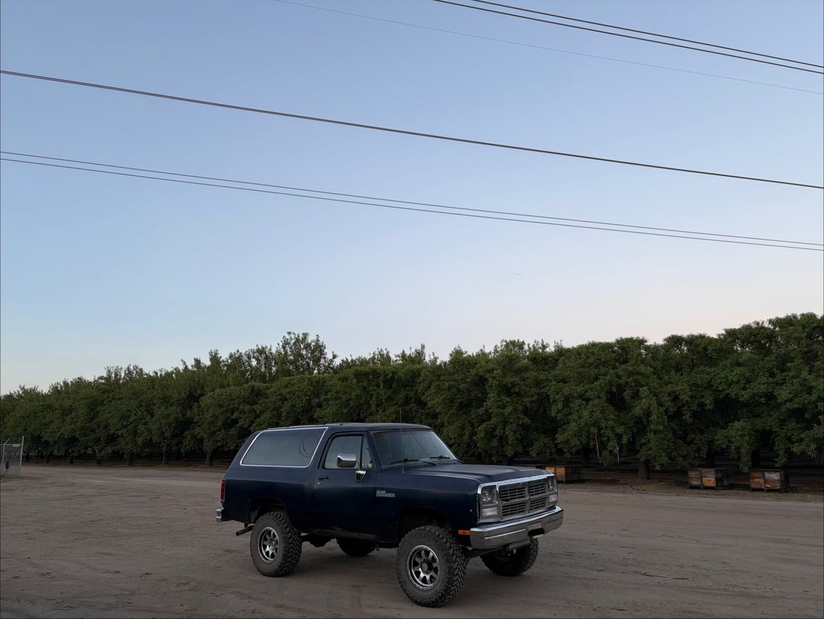 Dapper_goat tweet media