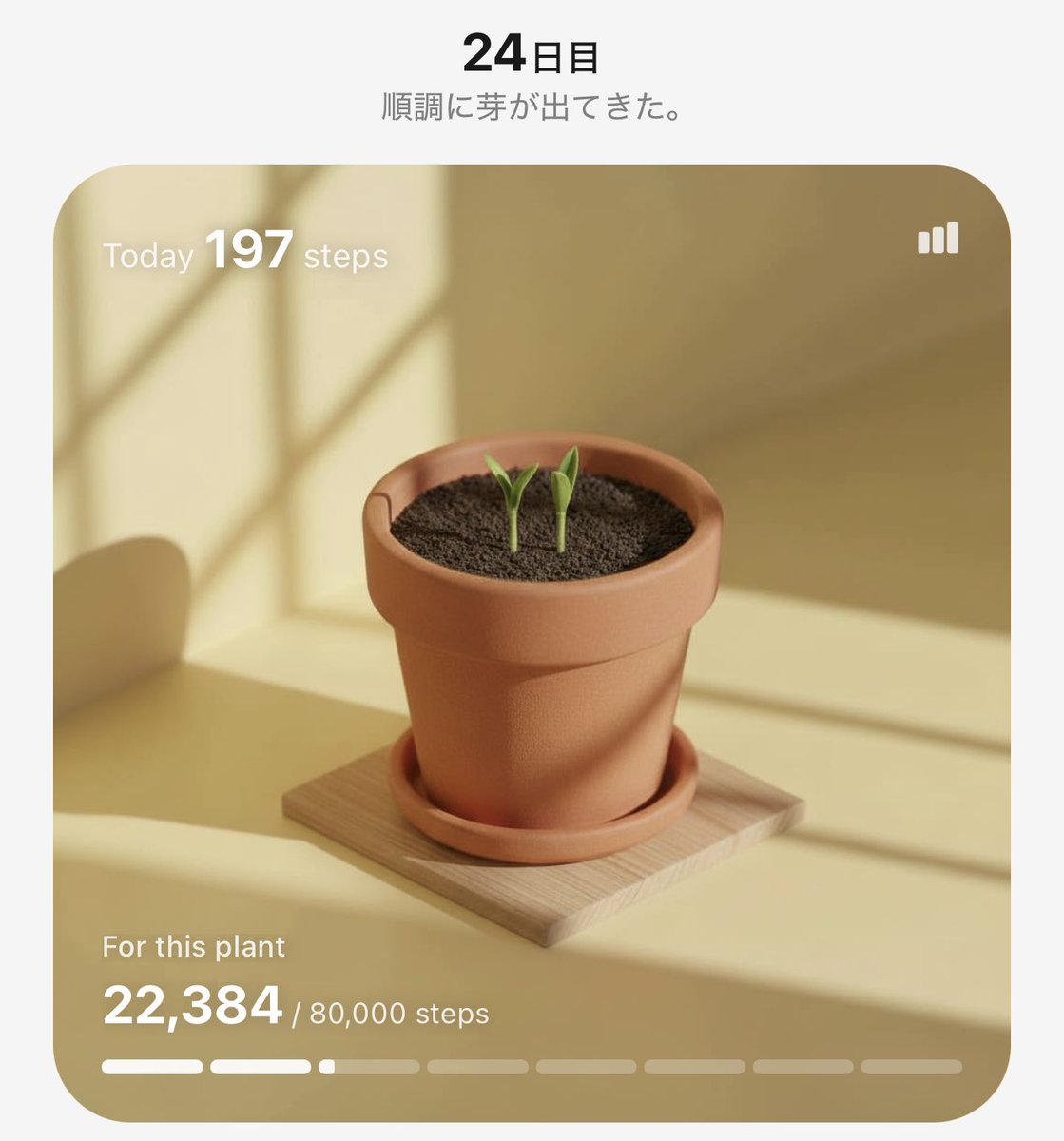 サブ見ゆい🍠 tweet media