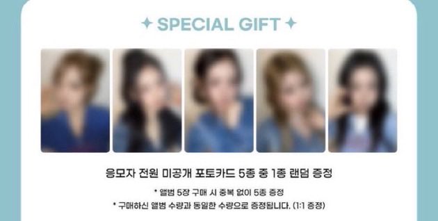 양도 ⊛ 대리 tweet media