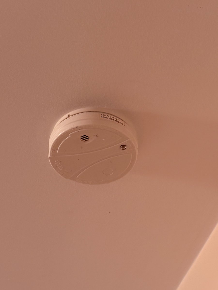 Chandni Prashar tweet media