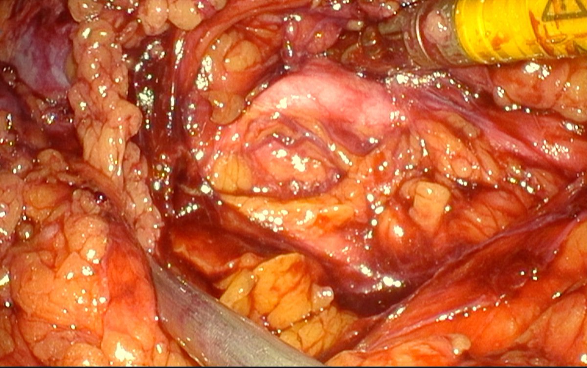 Dr Chandra Mohan Vaddi tweet media